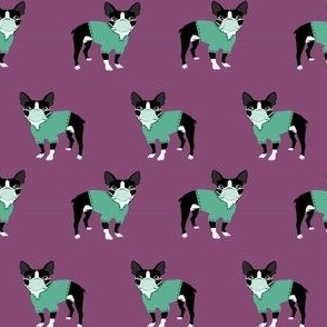 boston terrier scrubs fabric - doctor, nurse, vet fabric -purple