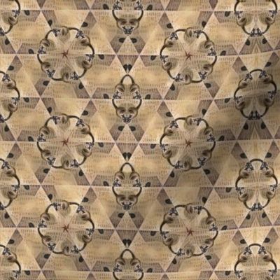 Parchment Siamese Kaleidoscope