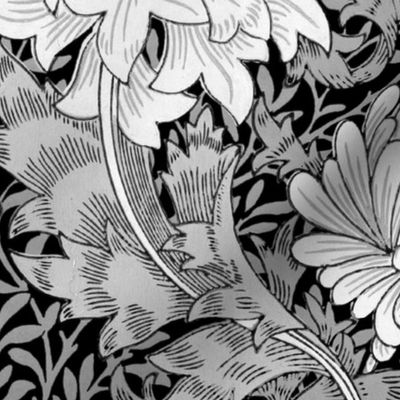 William Morris ~ Chrysanthemum ~  Black and White on Black 