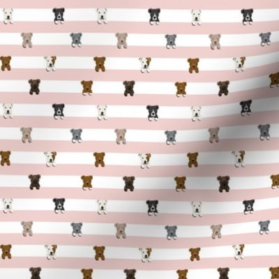 TINY pitbull stripes dog breed fabric pink