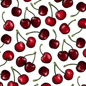 Juicy red retro Cherries on white