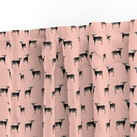 nigerian dwarf fabric - goat fabric, farm animal fabric - peachy pink