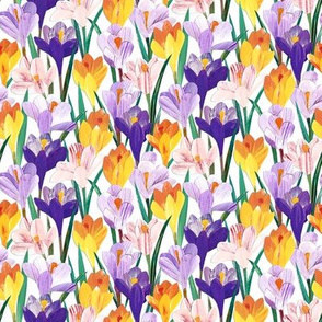 Paper Crocuses - Smaller