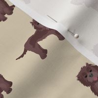 chocolate cockapoo fabric - dog fabric - tan