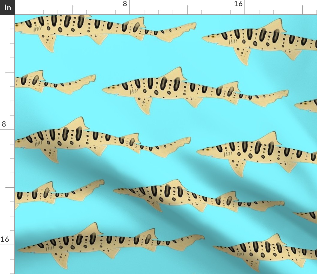 Leopard Shark on light blue