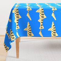 Leopard Shark lg on Sea blue