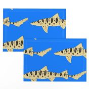 Leopard Shark lg on Sea blue