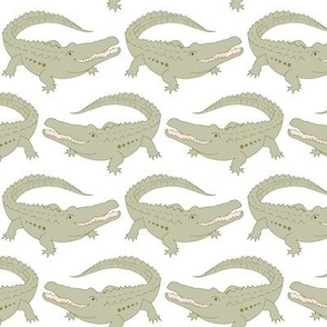 crocodiles