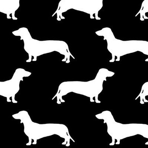 Dachshunds - black and white