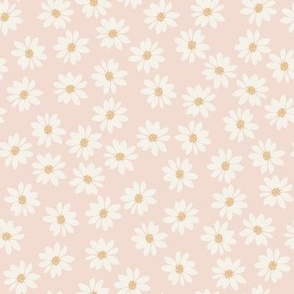 Wild Daisy : pastel pink