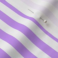 Country lilac 1x1 stripe