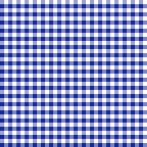Country navy 1x1 plaid