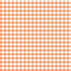 Country persimmon 1x1 plaid