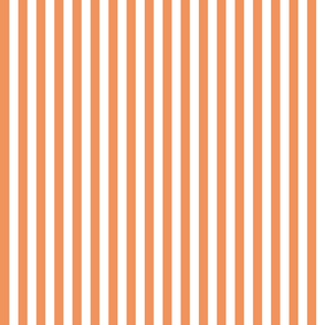 Country persimmon 1x1 stripe