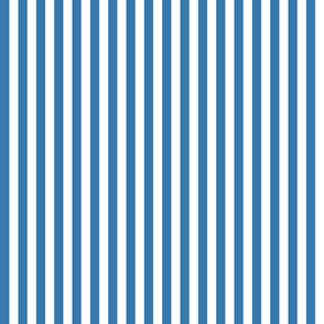 Country blue 1x1 stripe