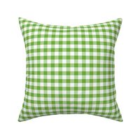 Country green 1x1 plaid