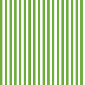 Country green 1x1 stripe