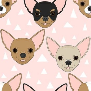 Chihuahuas on pink