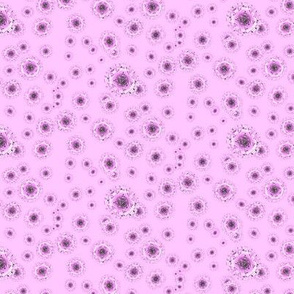 Coronavirus - Pink