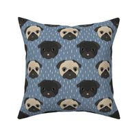 Pugs on blue