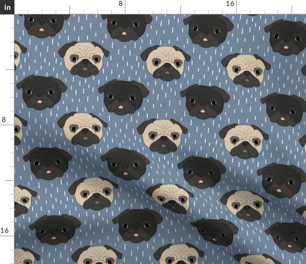 Pugs on blue