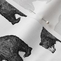 Bears in Black & White