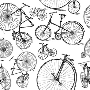 Old Fashioned Bicycles Black & White Bike Print