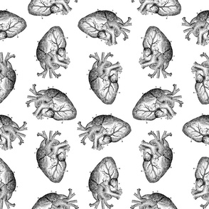 Illustrated Heart Diagram Pattern