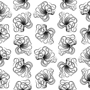 Vintage Octopus Black & White Pattern