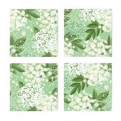 elderflower on light green small