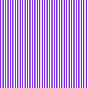 Country violet .5 x .5 stripe