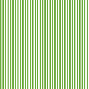 Country green .5 x .5 stripe