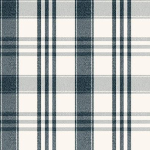 Plaid Check in Thunder Gray Blue