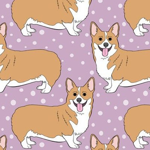 Corgis on purple