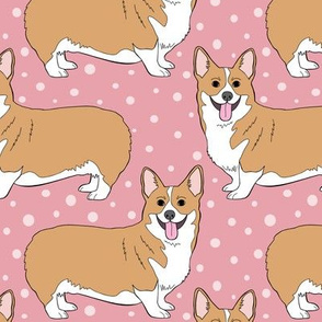 Corgis on pink