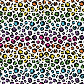 90s Nostalgia DIY with Puff Paint: Rainbow Leopard Print Décor