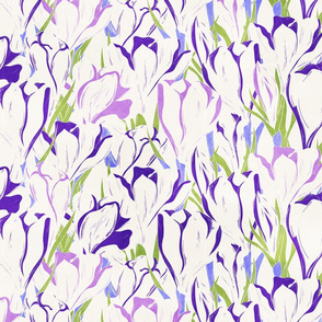 Crocus Purple and White