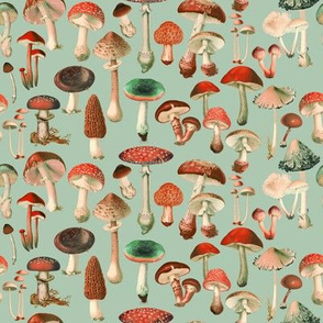 Mushies 13D Red & Green // small