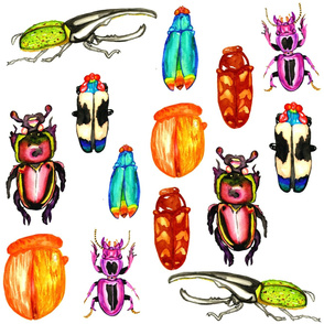 Beetles - Pale
