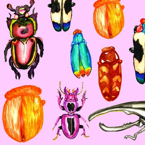 Beetles - Pastel Pink