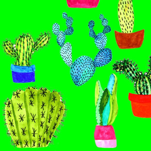  Cactus - Green