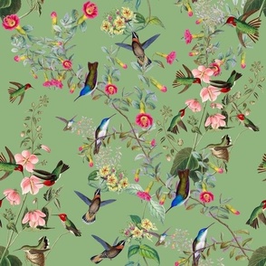 HUMMINGBIRDS - HUMMINGBIRD COLLECTION (GREEN)