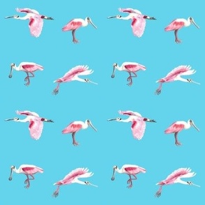 Spoonbills-watercolor-blue