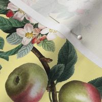 APPLE TREE - APPLE ORCHARD COLLECTION (YELLOW)