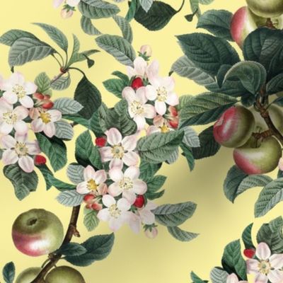APPLE TREE - APPLE ORCHARD COLLECTION (YELLOW)