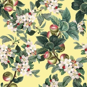 APPLE TREE - APPLE ORCHARD COLLECTION (YELLOW)