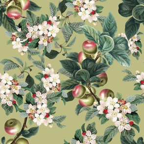 APPLE TREE - APPLE ORCHARD COLLECTION (GREEN)