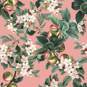 APPLE TREE - APPLE ORCHARD COLLECTION (PINK)