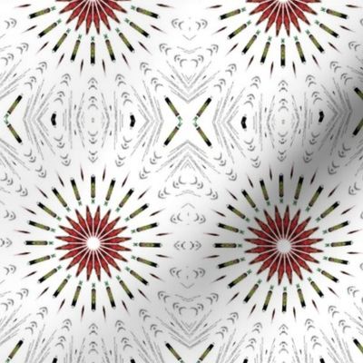 white daisy kaleidoscope