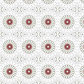 white daisy kaleidoscope